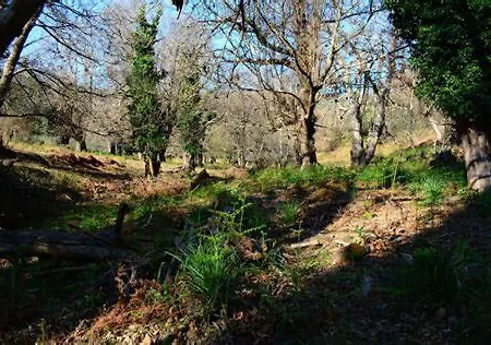 Le Refuge De La Tour Entre Et Ciel * Porri