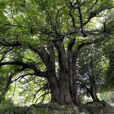 Le Refuge De La Tour Entre Et Ciel Апартаменты *