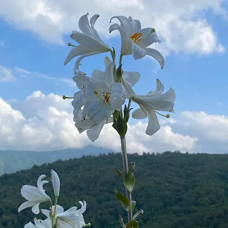 Le Refuge De La Tour Entre Et Ciel *