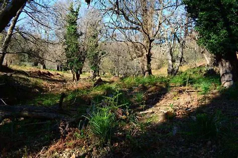 Le Refuge De La Tour Entre Et Ciel * Porri