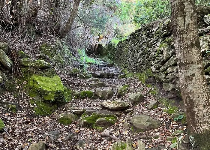 Le Refuge De La Tour Entre Et Ciel Porri