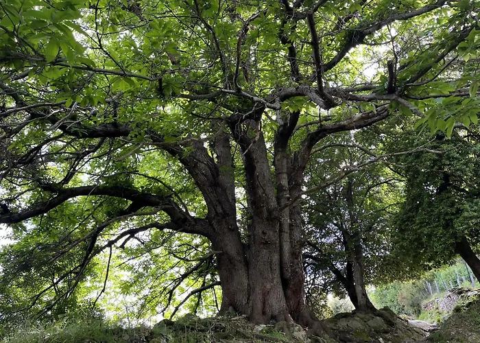 Le Refuge De La Tour Entre Et Ciel דירה *