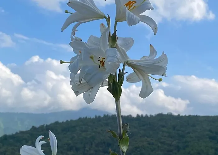 Le Refuge De La Tour Entre Et Ciel *